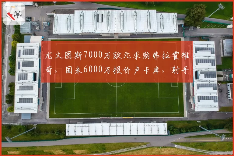 尤文图斯7000万欧元求购弗拉霍维奇,国米6000万报价卢卡库,射手榜暗战升级