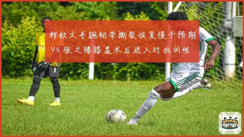 郑钦文手腕韧带撕裂恢复慢于预期 vs 张之臻膝盖术后进入对抗训练，中国一哥一姐归期迥异