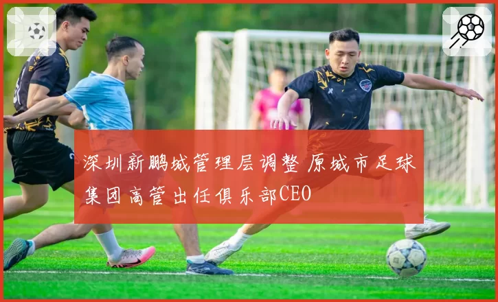 深圳新鹏城管理层调整 原城市足球集团高管出任俱乐部CEO