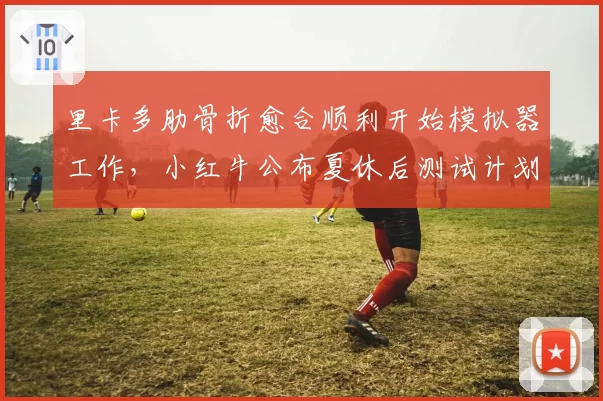 里卡多肋骨折愈合顺利开始模拟器工作，小红牛公布夏休后测试计划