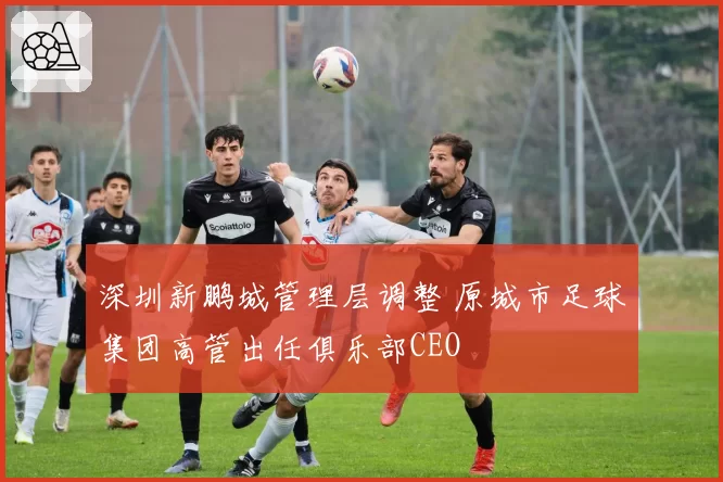 深圳新鹏城管理层调整 原城市足球集团高管出任俱乐部CEO