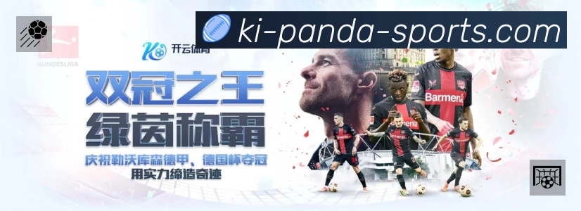 全球访问热力分布图